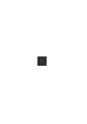 Module de charge USB - iPhone 6S & 6S Plus