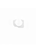 Support caméra avant & capteur proximité - iPhone 6S