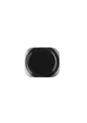 Bouton home noir - iPhone 5S