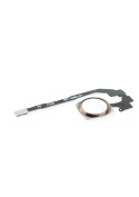 Nappe + Bouton Home OR ROSE - iPhone 5S / SE