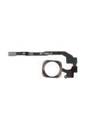 Nappe + Bouton Home OR ROSE - iPhone 5S / SE