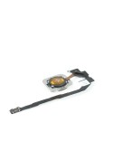 Nappe + Bouton Home OR ROSE - iPhone 5S / SE
