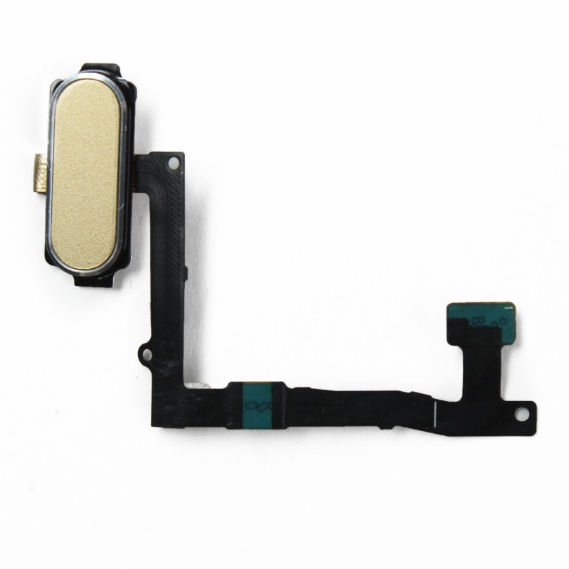 Nappe bouton home + bouton or Nappe bouton home + bouton or