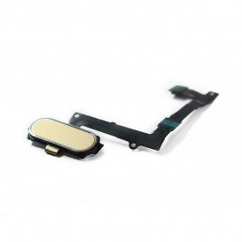 Nappe bouton home + bouton or
