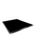 Ecran LCD - iPad 5 (2017)