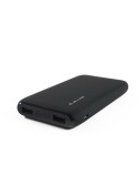 Batterie externe (10 000 mAh)